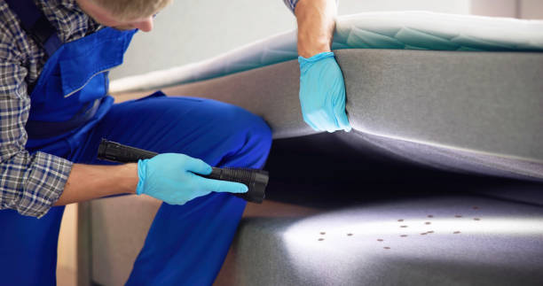Best Best Pest Control Companies  in Briarcliff Manor, NY