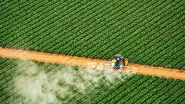 Best Pest Control Cost  in Briarcliff Manor, NY