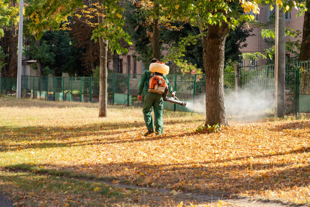 Best Cockroach Control Services  in Briarcliff Manor, NY