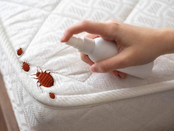 Pest Control Cost in Briarcliff Manor, NY