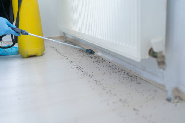 Best Pest Prevention Services  in Briarcliff Manor, NY